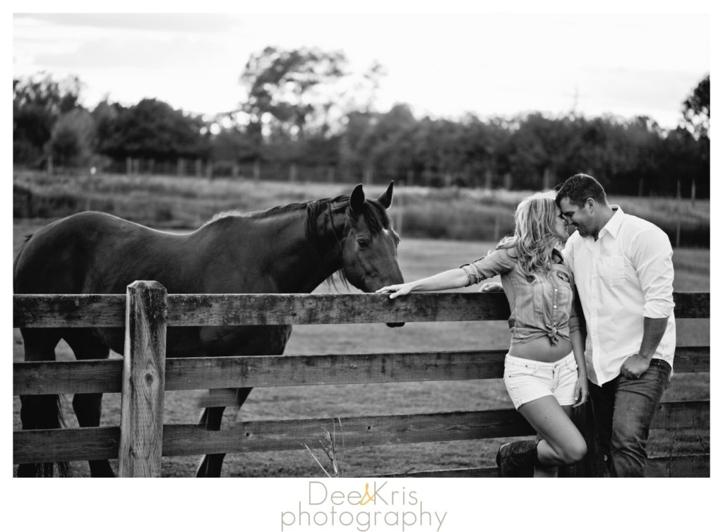 gibson ranch engagement dee and kris photography