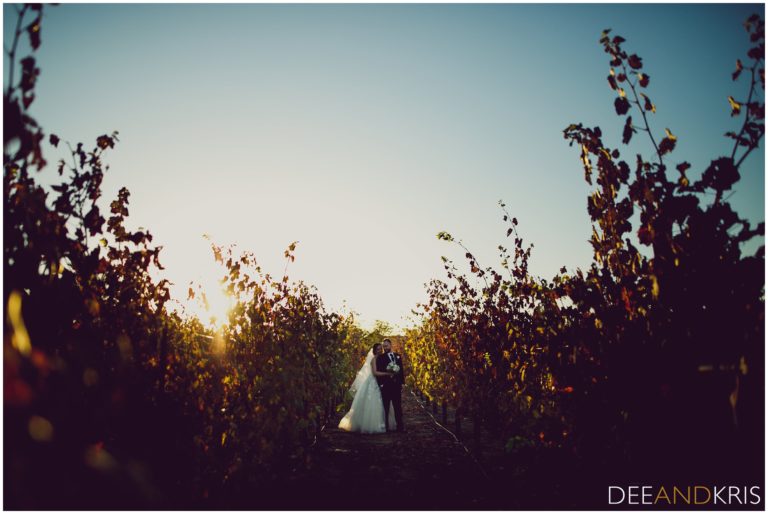 mccauley vineyard wedding dee and kris photography