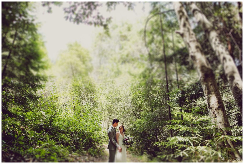 Amphitheatre of the Redwoods at Pema Osel Ling Venue Info on