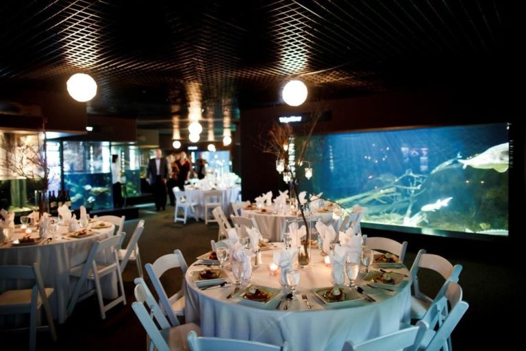 tennessee aquarium wedding venue