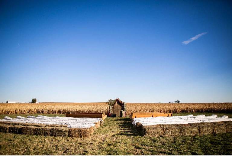 chesnut farms