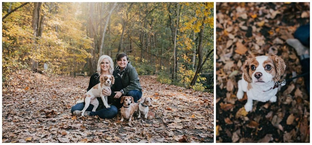 radnor lake