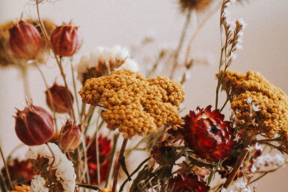 How to Preserve Your Wedding Flowers: Tips and Techniques for Brides